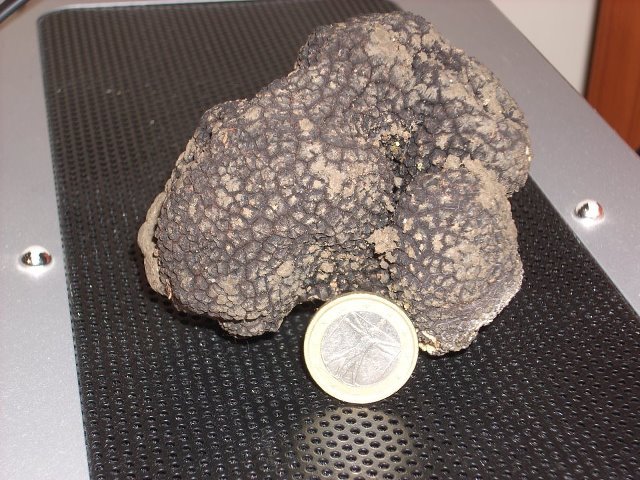 170 grammi
